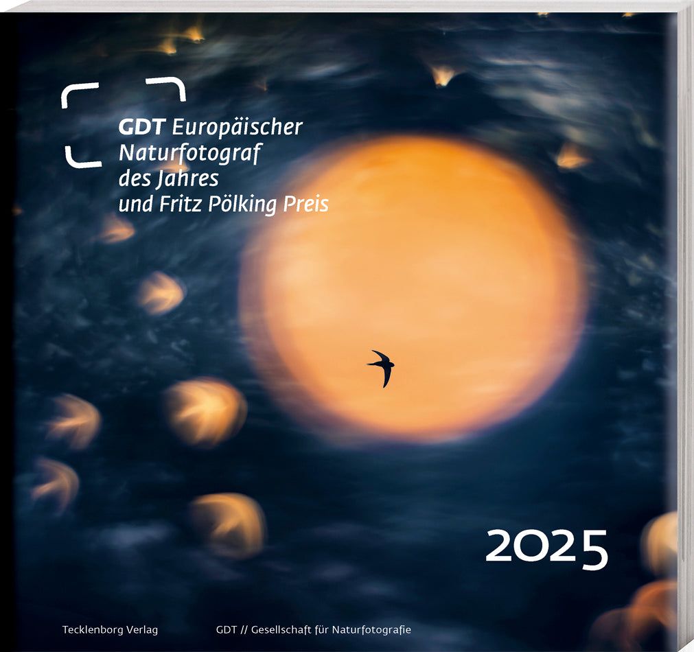 Europäischer Naturfotograf des Jahres 2025